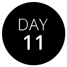 Day Eleven