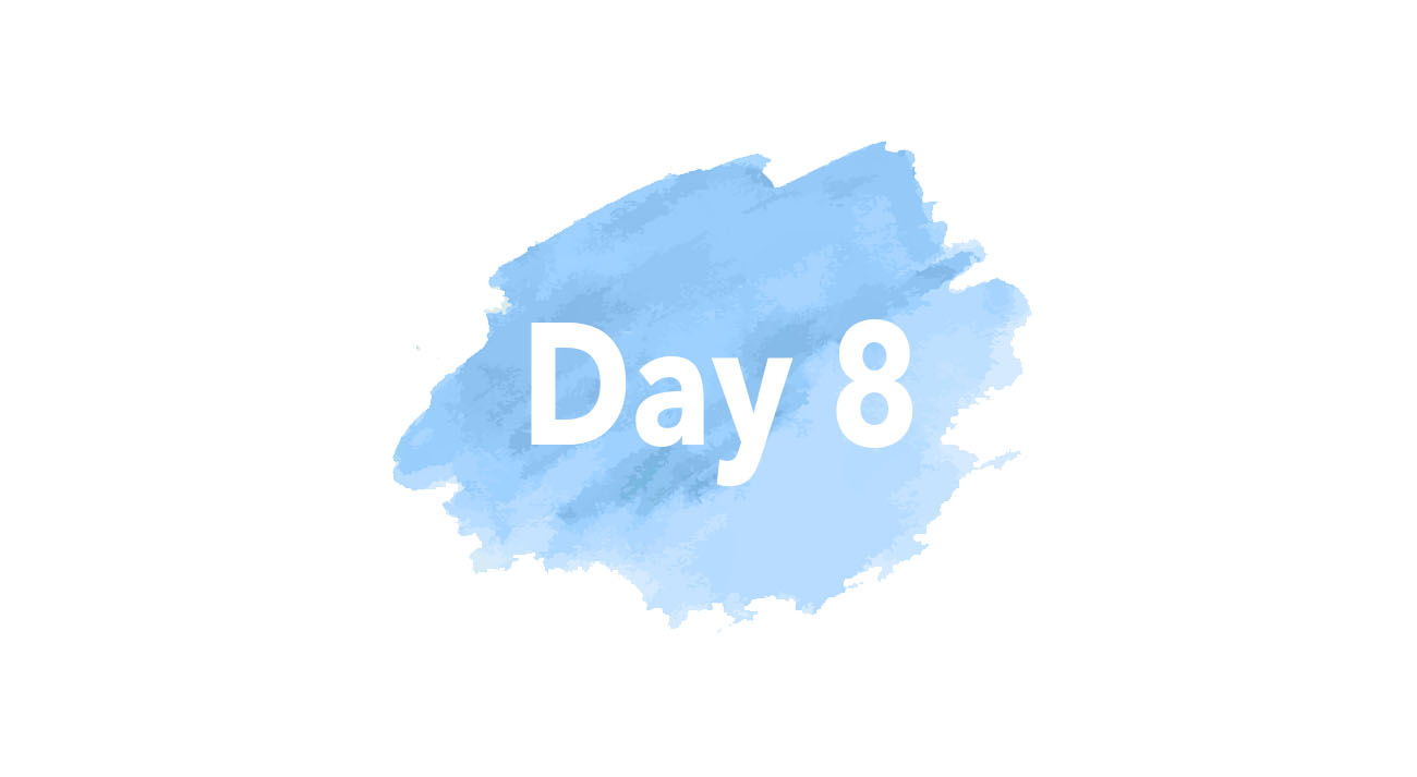 Day Eight